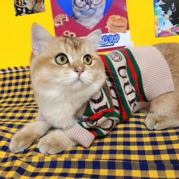 Dog Sweater Pawcci - 2025 - Puppy Streetwear Shop