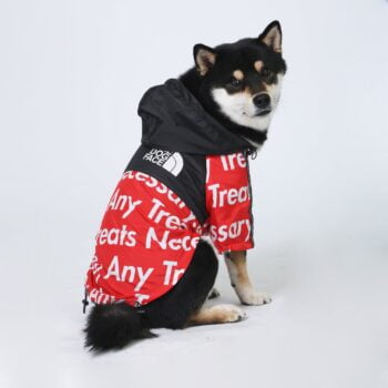 Dog Jacket The Dog Face - 2025 - Puppy Streetwear Shop Dog Jacket The Dog Face - 2025 - Puppy Streetwear Shop