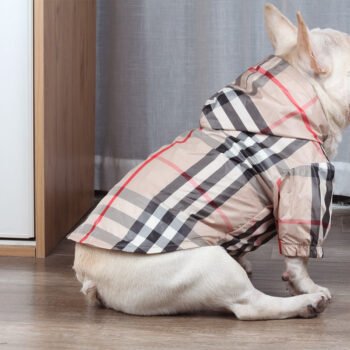 Dog Hoodies Burberry - 2025 - Puppy Streetwear Shop
