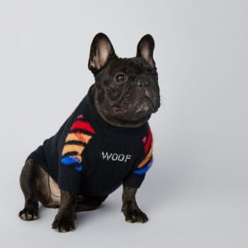 Dog Sweater WOOF - 2026 - Puppy Streetwear Shop