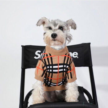 Dog Sweater Burberry - 2025 - Puppy Streetwear Shop
