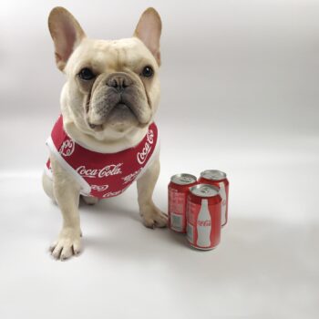 Dog Vest Coca Cola - 2025 - Puppy Streetwear Shop