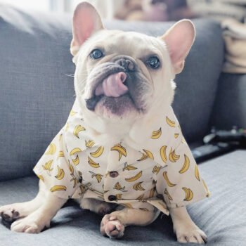 Dog Shirt - 2025 - Puppy Streetwear Shop