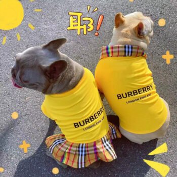 Dog Dress Burberry - 2025 - Puppy Streetwear Shop