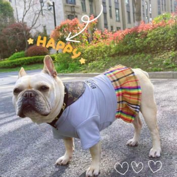 Dog Dress Burberry - 2025 - Puppy Streetwear Shop