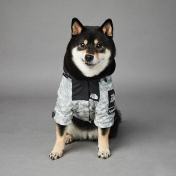 Dog Hoodies The North Face - 2026 - Puppy Streetwear Shop