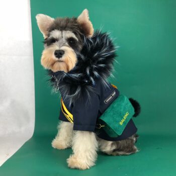 Dog Jacket Canada Goose - 2025 - Puppy Streetwear Shop