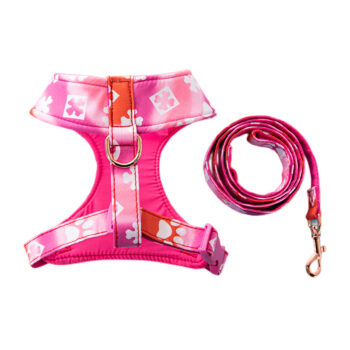 Dog Collar Harness Louis Pawtton - 2025 - Puppy Streetwear Shop