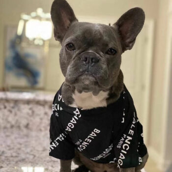Dog Tshirt Balenciaga - 2026 - Puppy Streetwear Shop