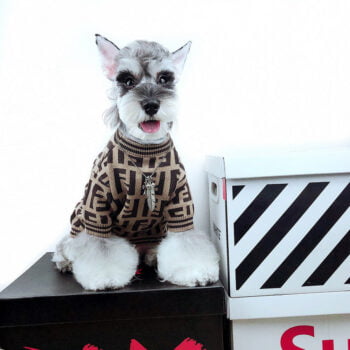 Dog Sweater Fendi - 2025 - Puppy Streetwear Shop