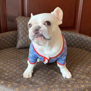 Dog Sweater Pawcci - 2026 - Puppy Streetwear Shop