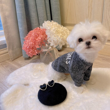 Dog Sweater Essentials - 2025 - Puppy Streetwear Shop