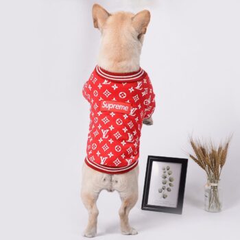 Dog Jacket Louis Pawtton - 2025 - Puppy Streetwear Shop