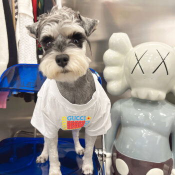 Dog Tshirt Pawcci - 2025 - Puppy Streetwear Shop