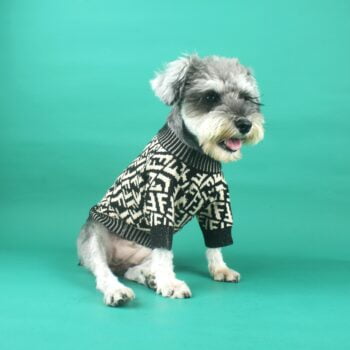 Dog Sweater Fendi - 2025 - Puppy Streetwear Shop