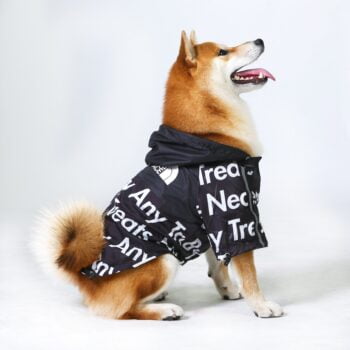 Dog Jacket The Dog Face - 2025 - Puppy Streetwear Shop Dog Jacket The Dog Face - 2025 - Puppy Streetwear Shop