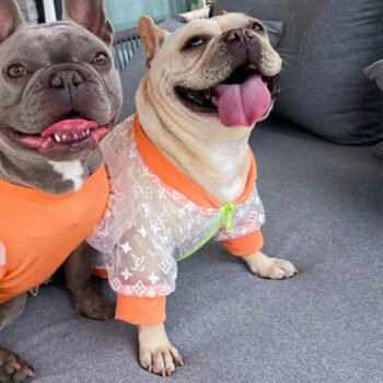 Dog Jacket Louis Pawtton - 2025 - Puppy Streetwear Shop