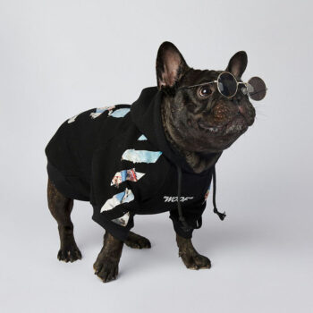 Dog Hoodies Woof - 2025 - Puppy Streetwear Shop