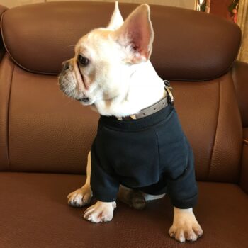 Dog Hoodies Louis Pawtton - 2025 - Puppy Streetwear Shop