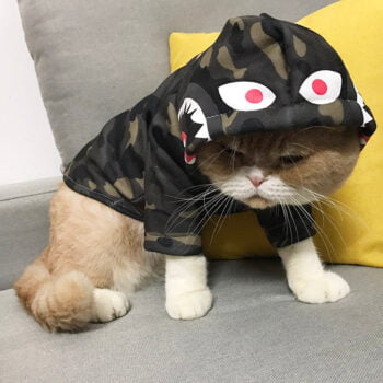 Dog Hoodies Bape - 2025 - Puppy Streetwear Shop