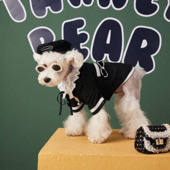 Dog Jacket Chanel - 2025 - Puppy Streetwear Shop Dog Jacket Chanel - 2025 - Puppy Streetwear Shop