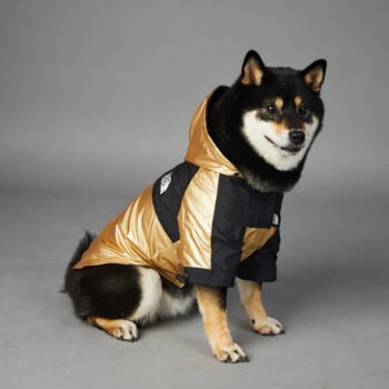 Dog Hoodies The North Face - 2026 - Puppy Streetwear Shop