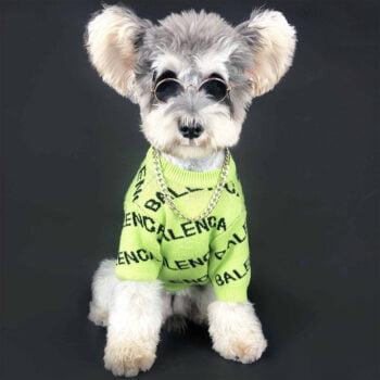 Dog Sweater Balenciaga - 2025 - Puppy Streetwear Shop
