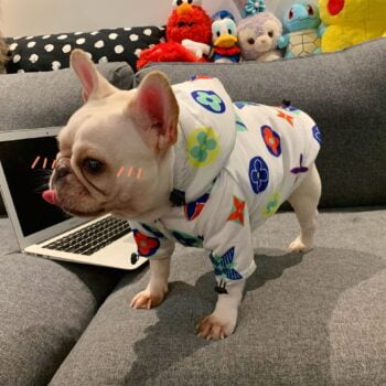 Dog Hoodies Louis Pawtton - 2025 - Puppy Streetwear Shop