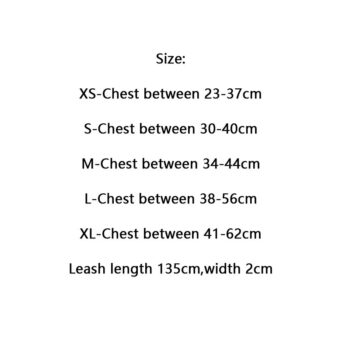 Dog Collar Harness Louis Pawtton - 2025 - Puppy Streetwear Shop