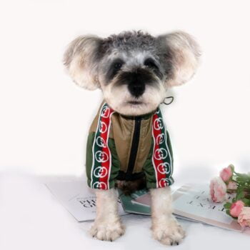 Dog Jacket Pawcci - 2026 - Puppy Streetwear Shop