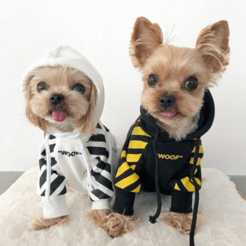 Dog Hoodies WOOF - 2025 - Puppy Streetwear Shop