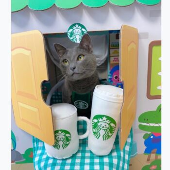 Dog Vest - 2025 - Puppy Streetwear Shop