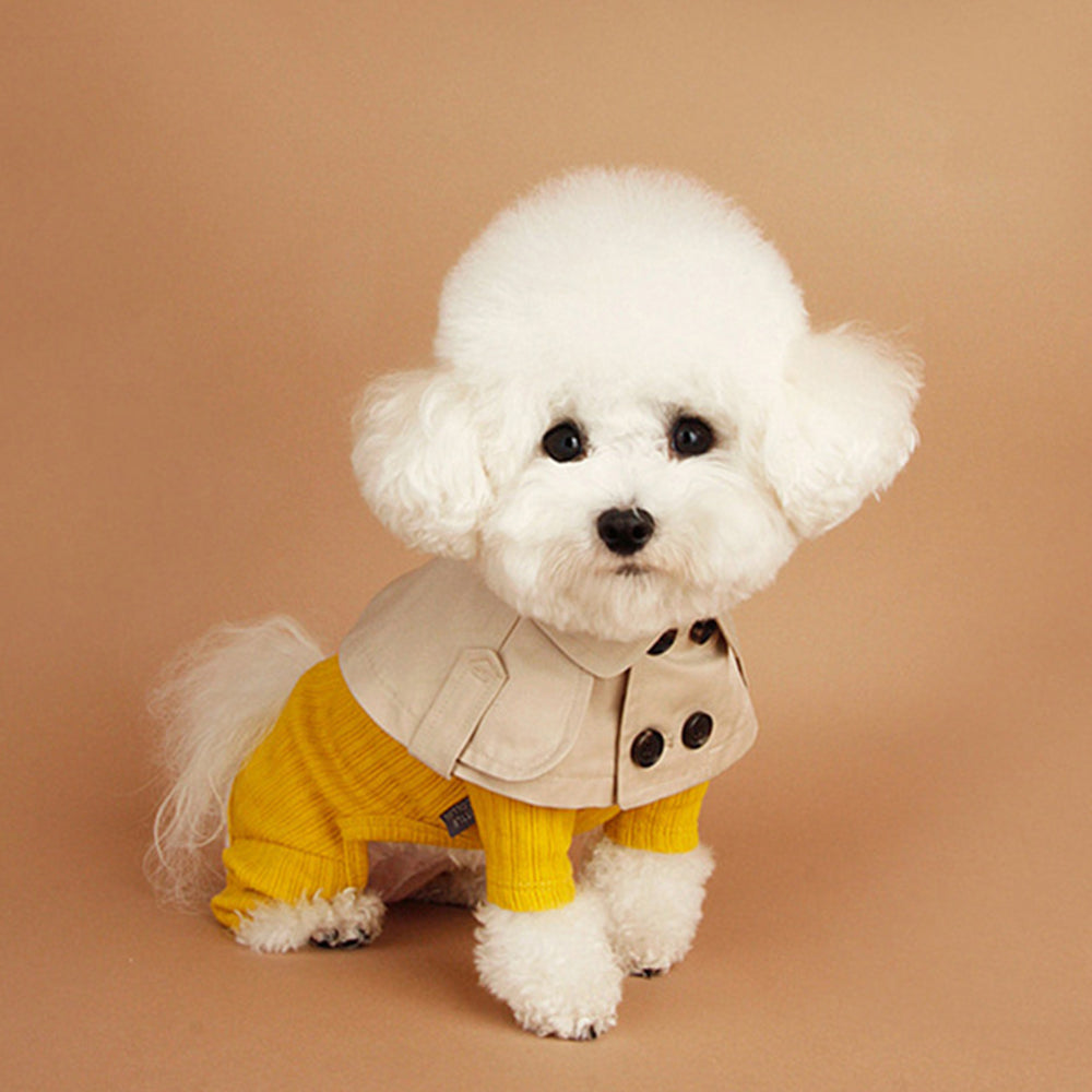Designer Dog Bandana Burberry - 2023 - Puppy Streetwear Shop