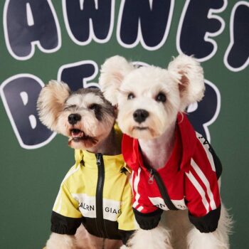 Dog Jacket Balenciaga - 2025 - Puppy Streetwear Shop Dog Jacket Balenciaga - 2025 - Puppy Streetwear Shop