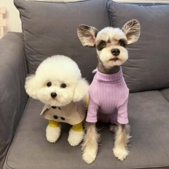 Dog Bandana Burberry - 2025 - Puppy Streetwear Shop Dog Bandana Burberry - 2025 - Puppy Streetwear Shop