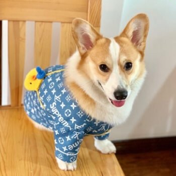 Dog Shirt Louis Pawtton - 2025 - Puppy Streetwear Shop