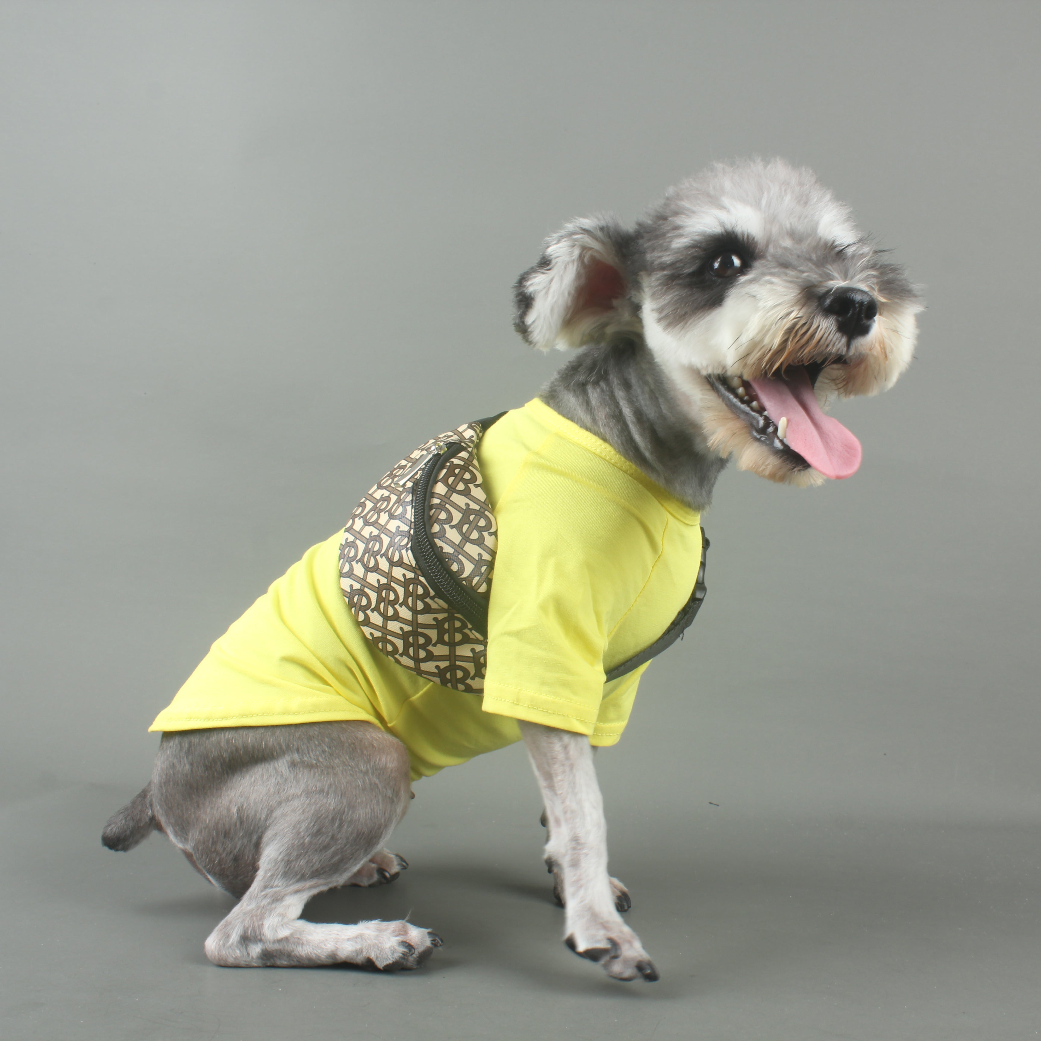 Designer Dog Backpack - 2023 - Puppy Streetwear Shop