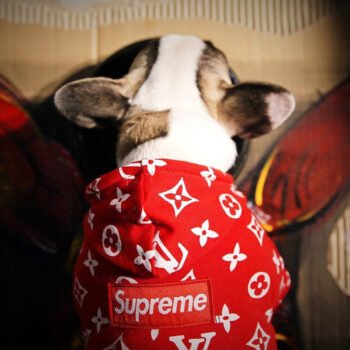 Dog Hoodies Louis Pawtton - 2025 - Puppy Streetwear Shop