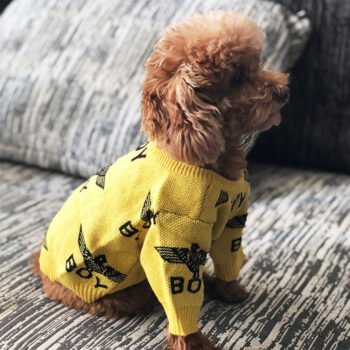 Dog Sweater - 2025 - Puppy Streetwear Shop