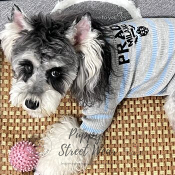 Prada Dog Sweater - 2025 - Puppy Streetwear Shop Prada Dog Sweater - 2025 - Puppy Streetwear Shop