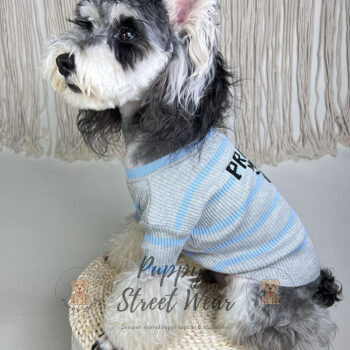 Prada Dog Sweater - 2025 - Puppy Streetwear Shop Prada Dog Sweater - 2025 - Puppy Streetwear Shop