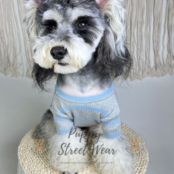 Prada Dog Sweater - 2025 - Puppy Streetwear Shop Prada Dog Sweater - 2025 - Puppy Streetwear Shop