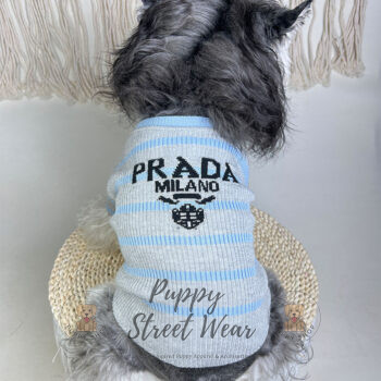 Prada Dog Sweater - 2025 - Puppy Streetwear Shop Prada Dog Sweater - 2025 - Puppy Streetwear Shop