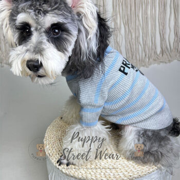 Prada Dog Sweater - 2025 - Puppy Streetwear Shop Prada Dog Sweater - 2025 - Puppy Streetwear Shop