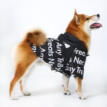 Dog Jacket The Dog Face - 2025 - Puppy Streetwear Shop Dog Jacket The Dog Face - 2025 - Puppy Streetwear Shop