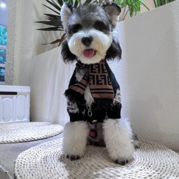 Dog Sweater Chanel - 2025 - Puppy Streetwear Shop Dog Sweater Chanel - 2025 - Puppy Streetwear Shop