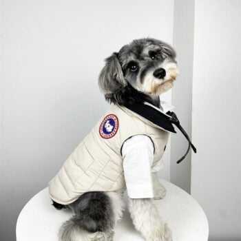Dog Jacket Canada Goose - 2026 - Puppy Streetwear Shop