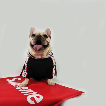 Dog Hoodies Givenchy - 2025 - Puppy Streetwear Shop Dog Hoodies Givenchy - 2025 - Puppy Streetwear Shop