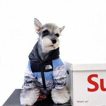 Dog Jacket The North Face - 2025 - Puppy Streetwear Shop