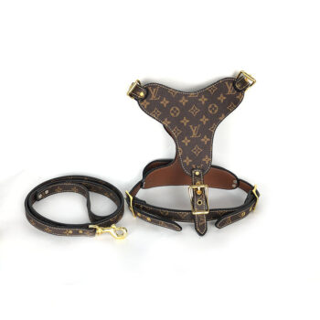 Dog Collar Harness Louis Pawtton - 2025 - Puppy Streetwear Shop